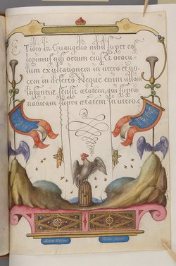 Schriftmusterbuch; 127 Blatt Pergament