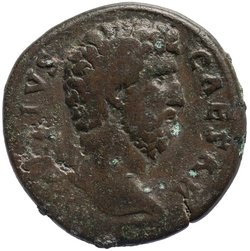 Lucius Aelius