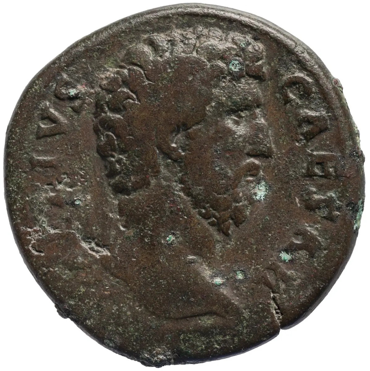 Lucius Aelius