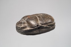 Herzskarabäus der Hausherrin Wer(...)