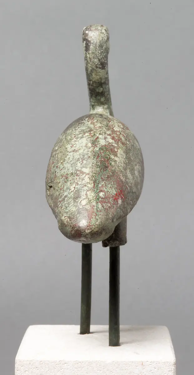 Schreitender Ibis