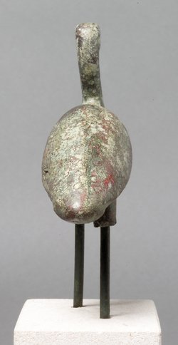 Schreitender Ibis