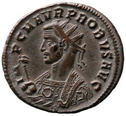 Probus
