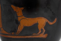 Jüngling und Hund