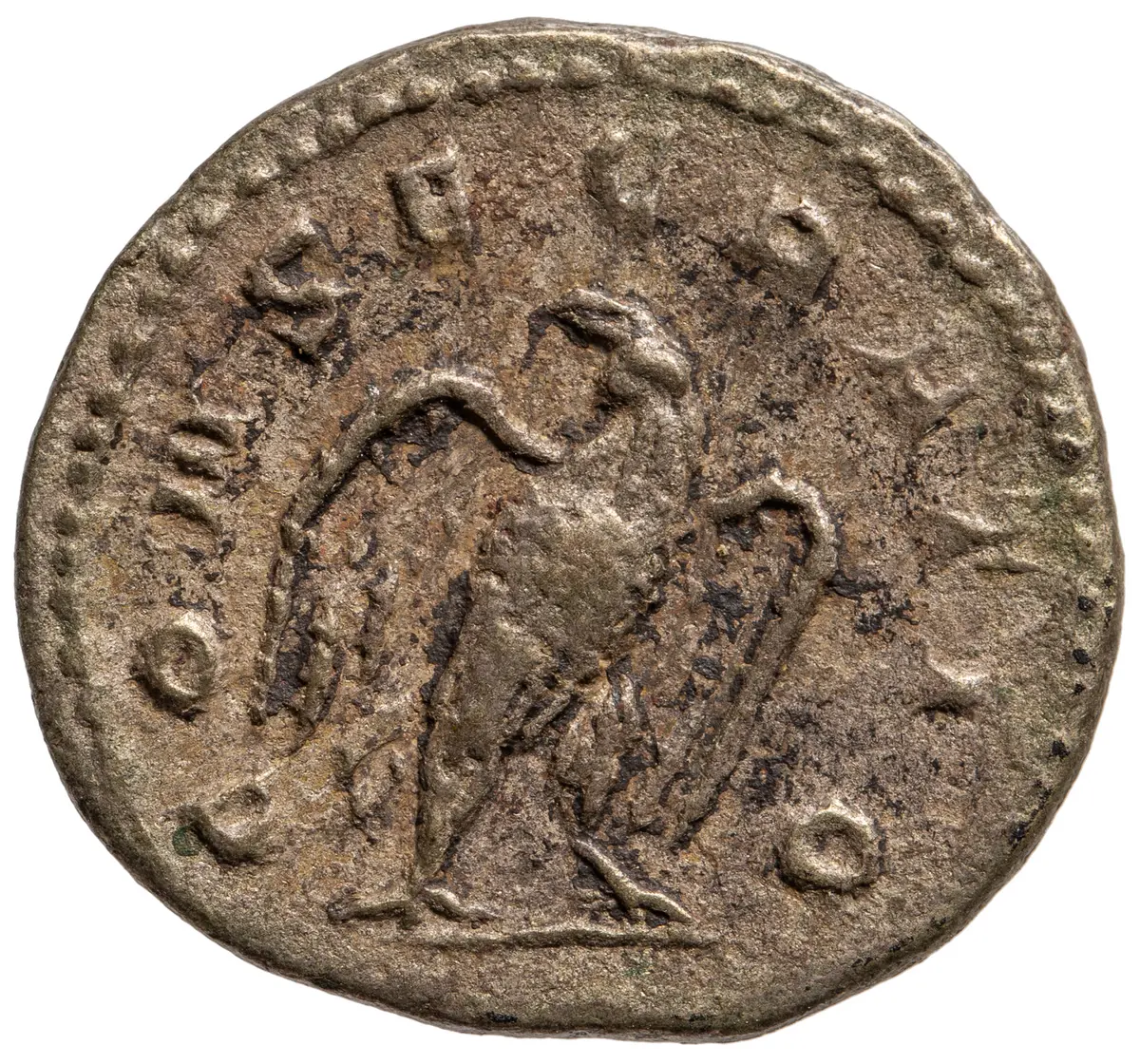 Divus Severus Alexander