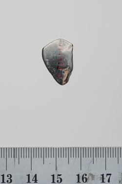 Sieben Gewichte