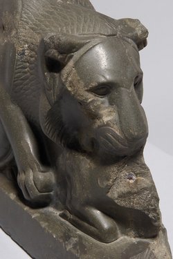 Löwe, der ein Rind reißt