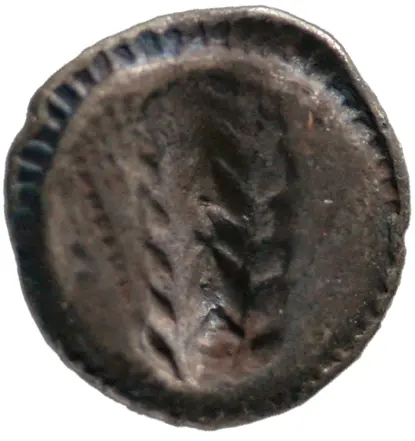 Metapont
