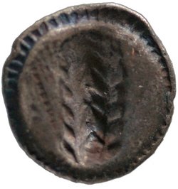 Metapont