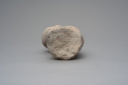 Großer Phallus, Fragment einer Statue?