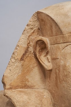 Serapeumssphinx