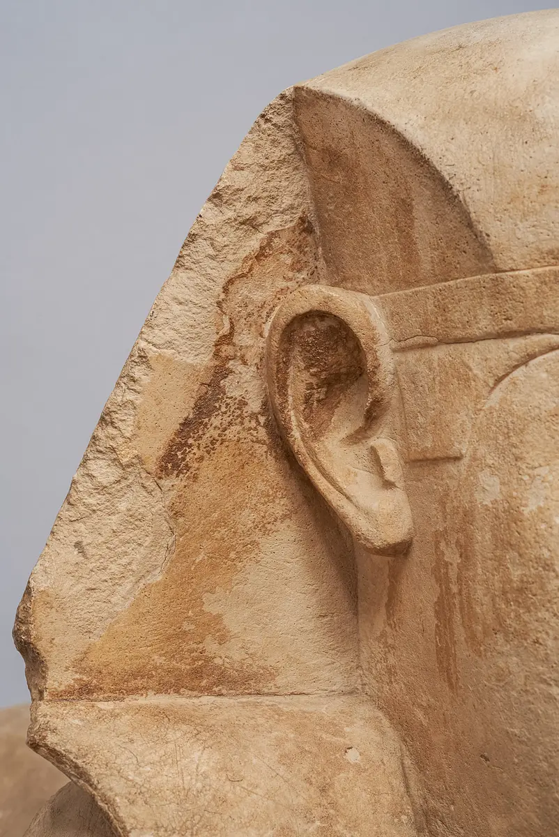 Serapeumssphinx