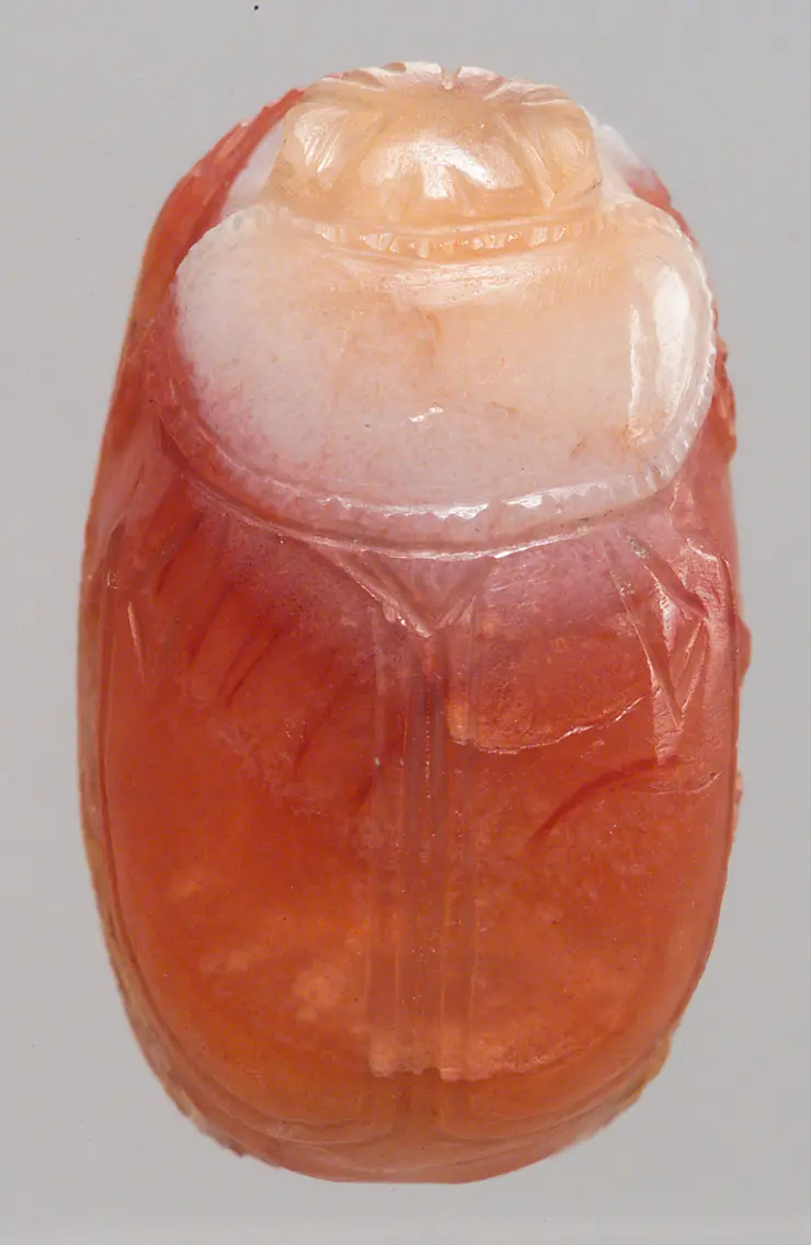 Priaposherme