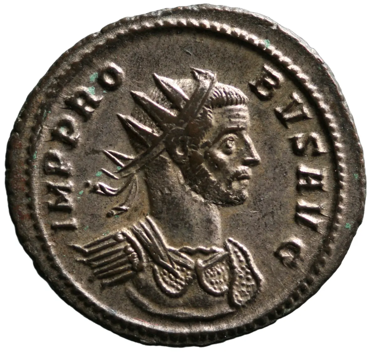 Probus