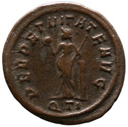 Probus