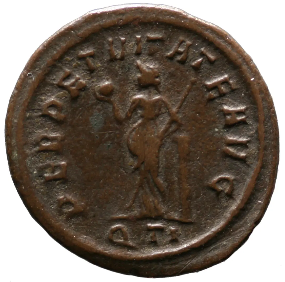 Probus