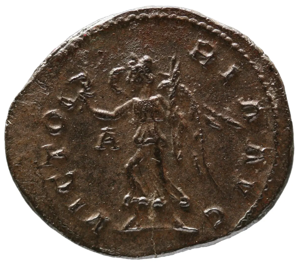 Carus