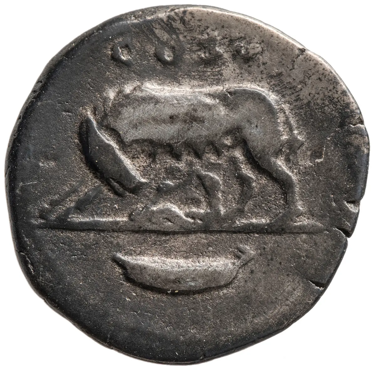 Vespasianus für Domitianus