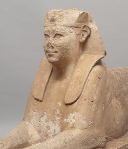 Serapeumssphinx