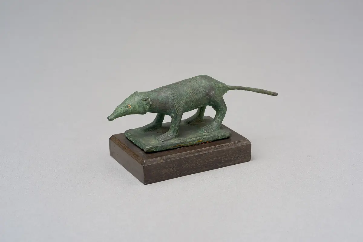 Spitzmaus