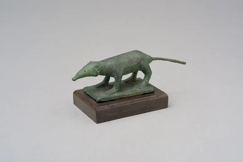 Spitzmaus