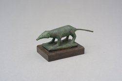 Spitzmaus