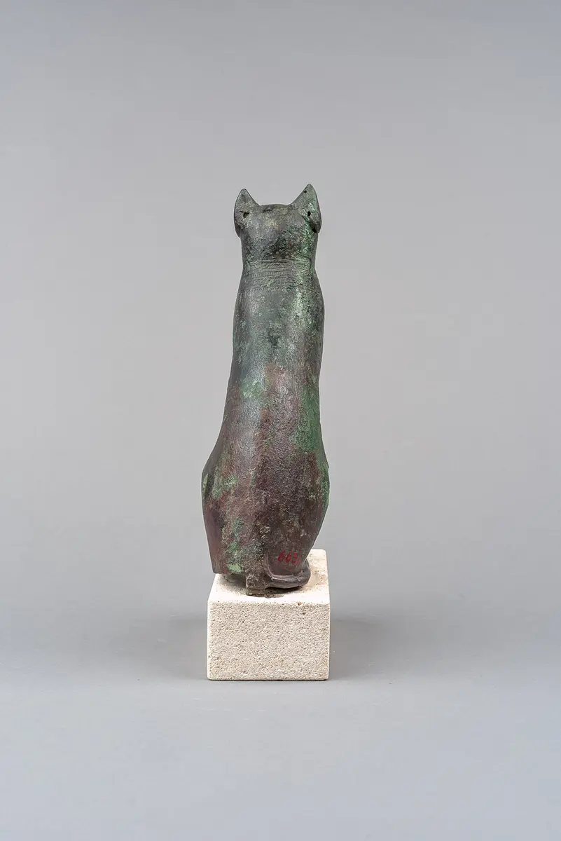 Sitzende Katze