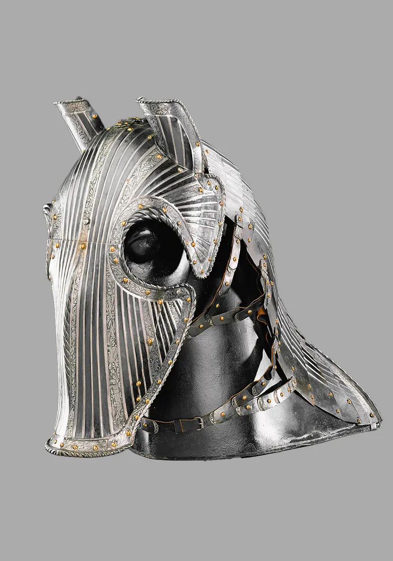 Ganze Rossstirn mit Mähnenpanzer