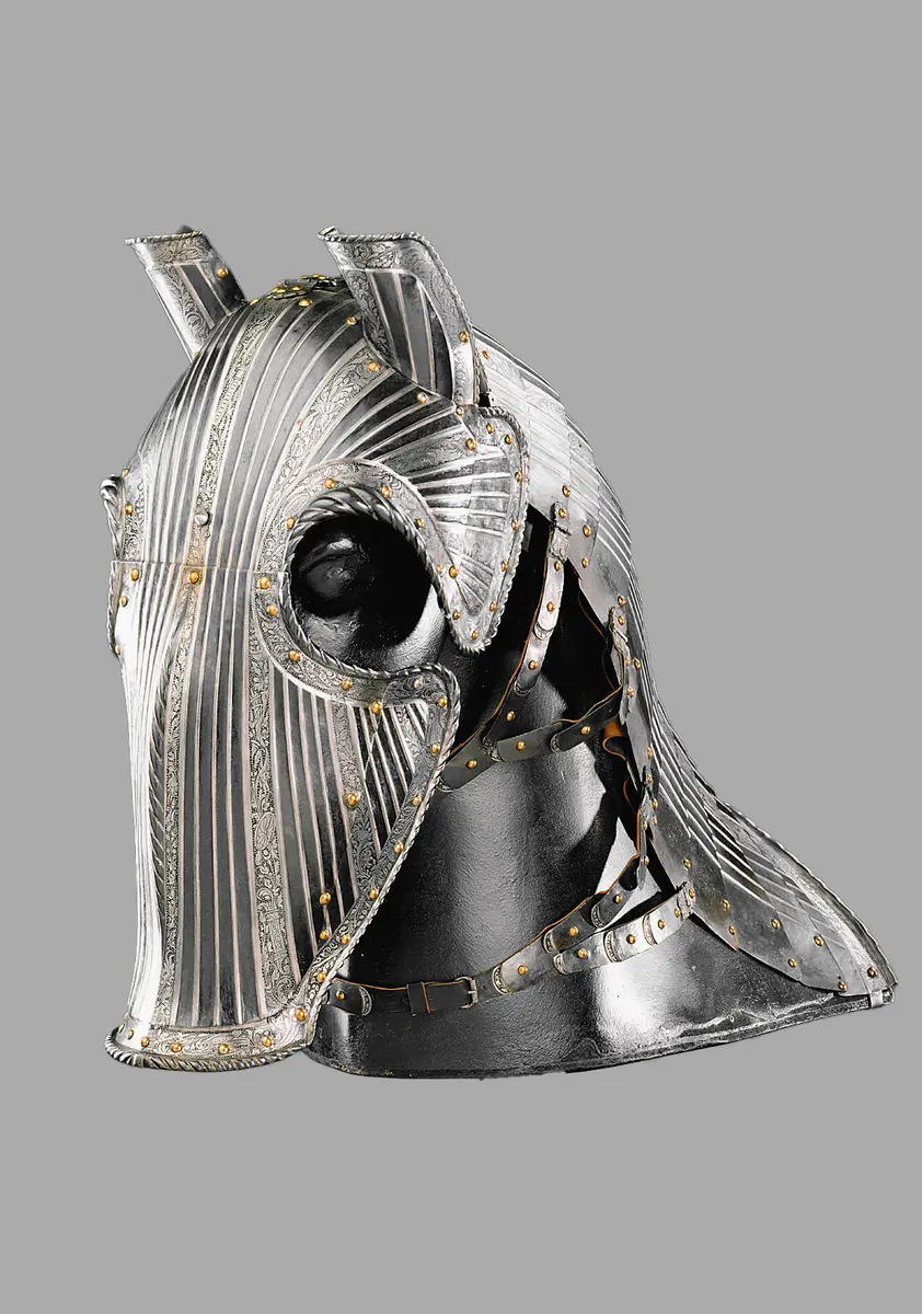 Ganze Rossstirn mit Mähnenpanzer