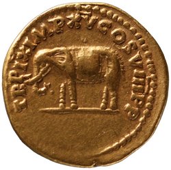 Titus