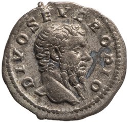 Divus Septimius Severus