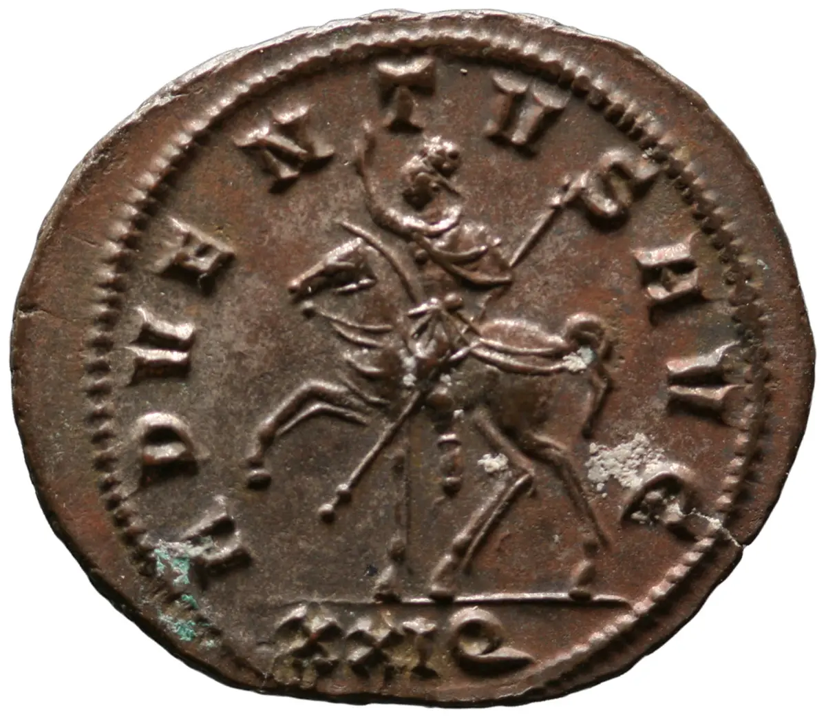 Probus