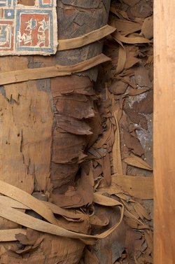 Unterteil des Kastensarges des An-em-her mit Mumie und Teilkartonage