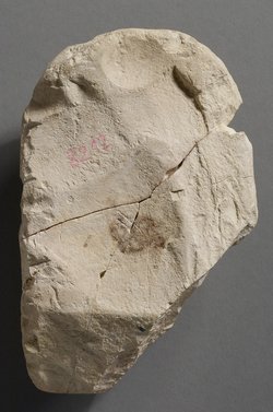 Stele des Chons