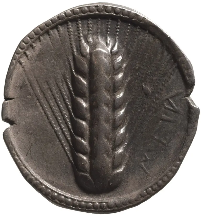 Metapont