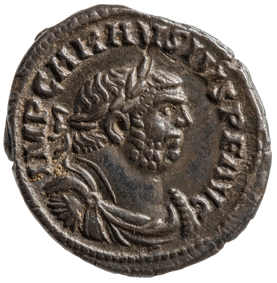 Carausius
