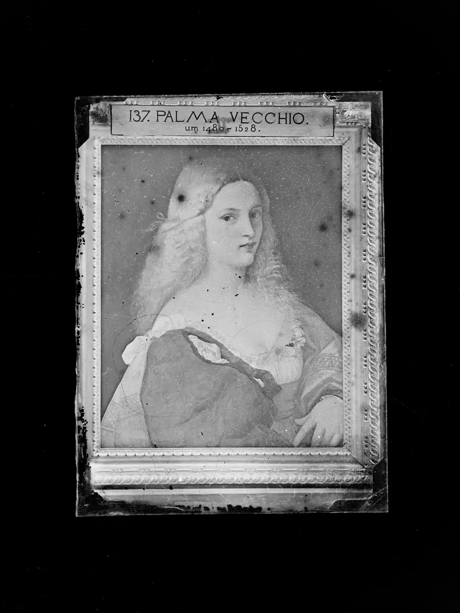 Violante