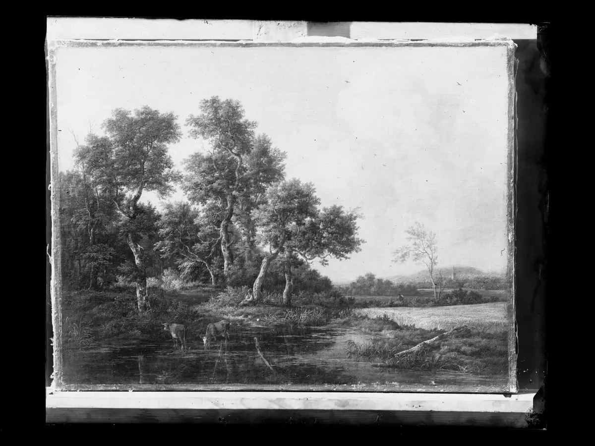Landschaft mit Kühen