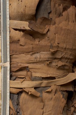 Unterteil des Kastensarges des An-em-her mit Mumie und Teilkartonage