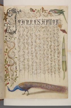 Schriftmusterbuch; 127 Blatt Pergament