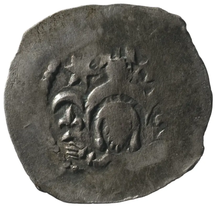 Herzöge von Kärnten / Herren von Krain: Bernhard (1202–1256)