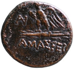 Amasia