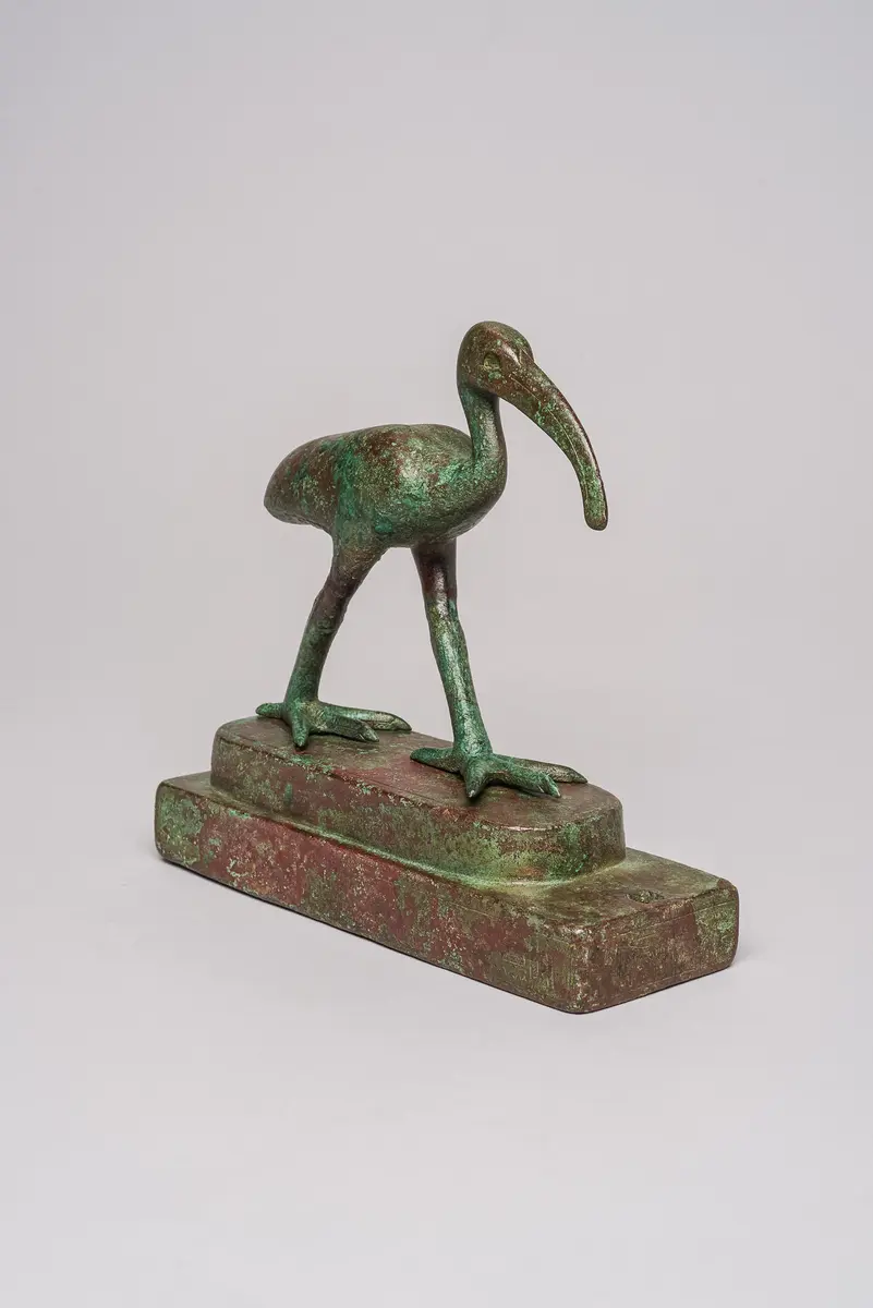 Schreitender Ibis