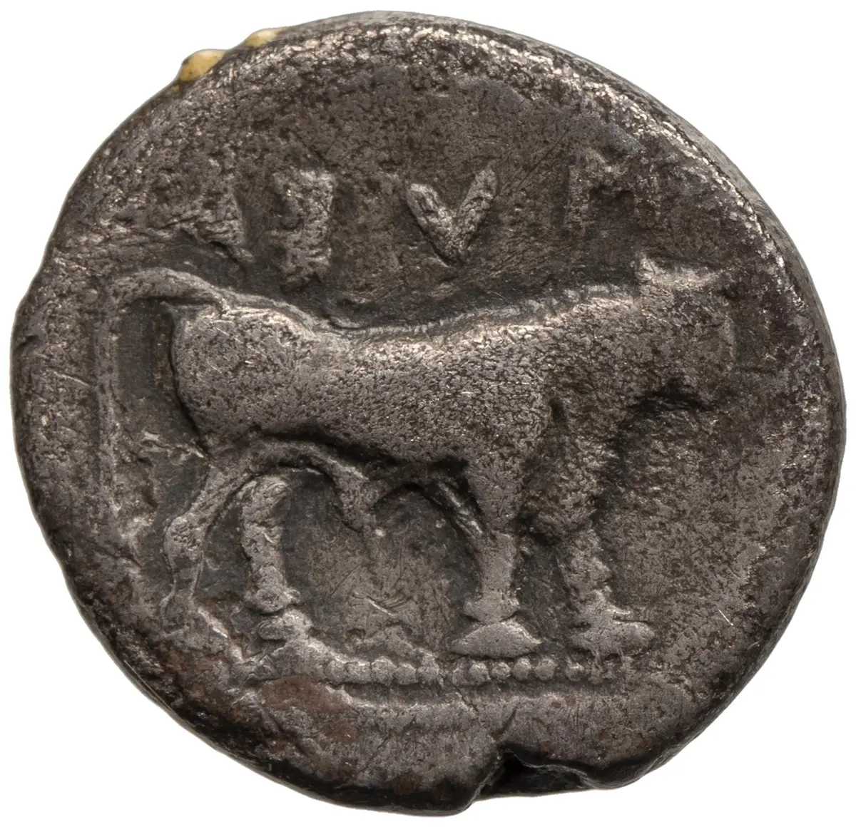 Sybaris