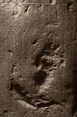 Unterteil des Sarkophags des In-her-nechet
