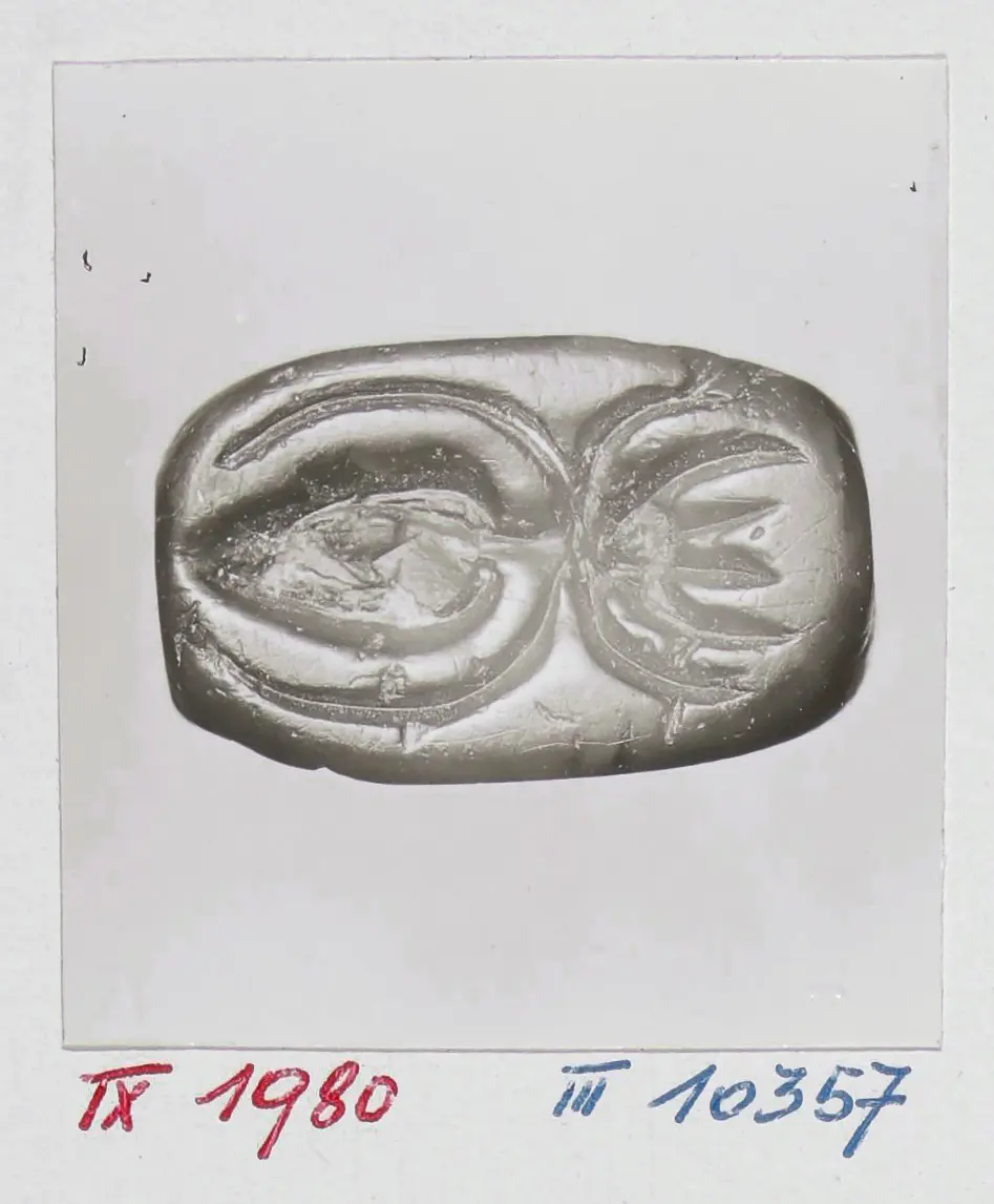 Hieroglyphenschrift, Hund, Spinne