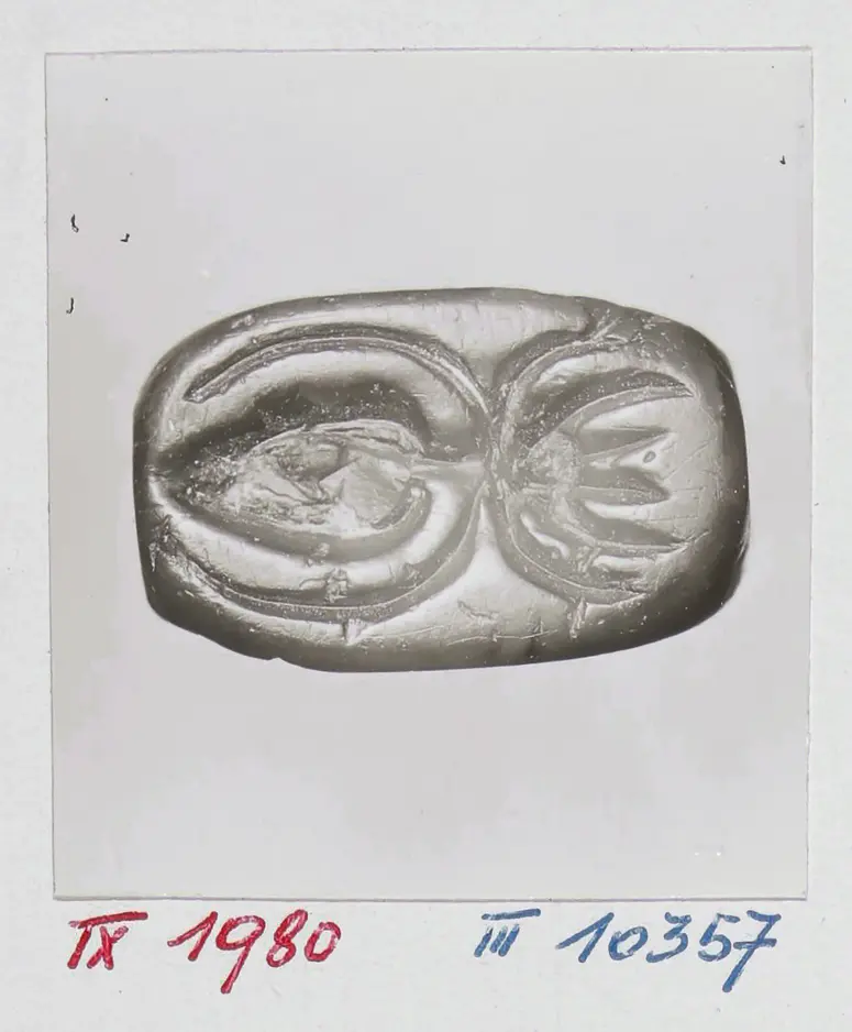 Hieroglyphenschrift, Hund, Spinne
