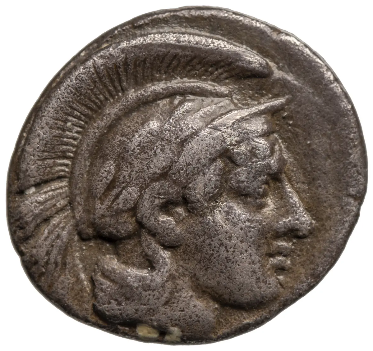 Sybaris