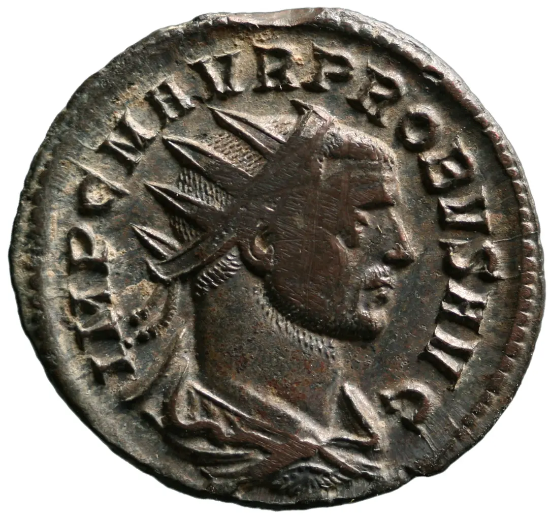 Probus