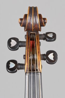 Violine